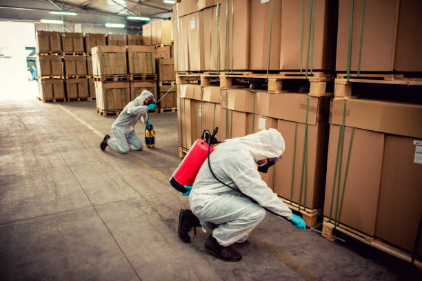 Best Emergency Pest Control  in Solomons, MD