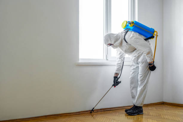 Best Affordable Pest Control Services  in Solomons, MD