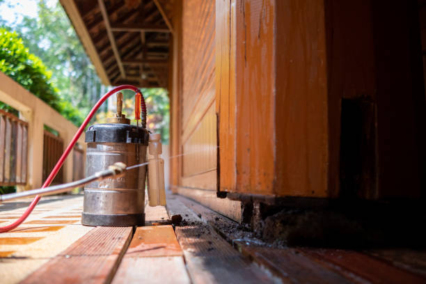 Best Best Pest Control Companies  in Solomons, MD
