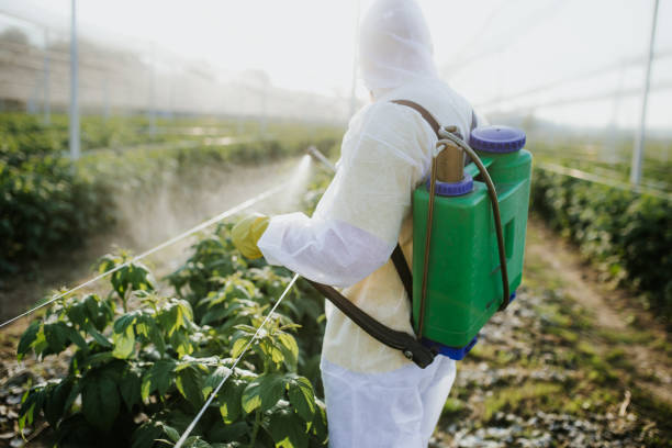 Best Pest Removal Services  in Solomons, MD